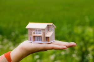 model house held in a hand